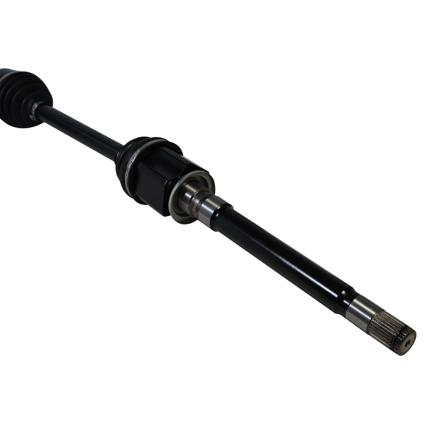 PR83008_4.jpg