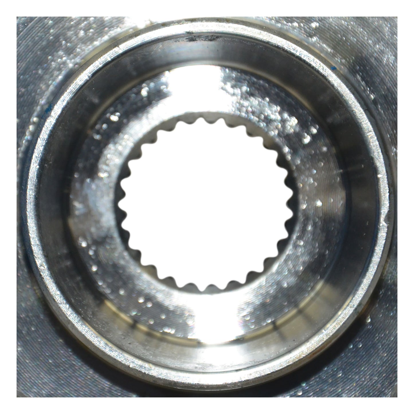 129003WH_4.jpg