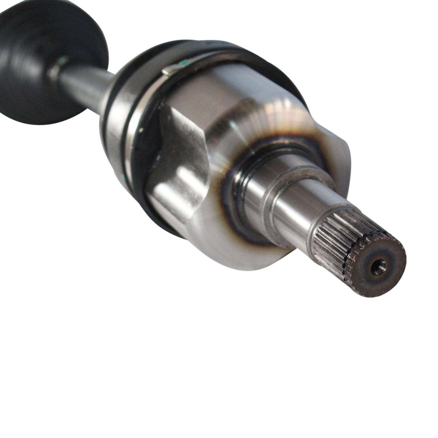 NCV11539_4.jpg