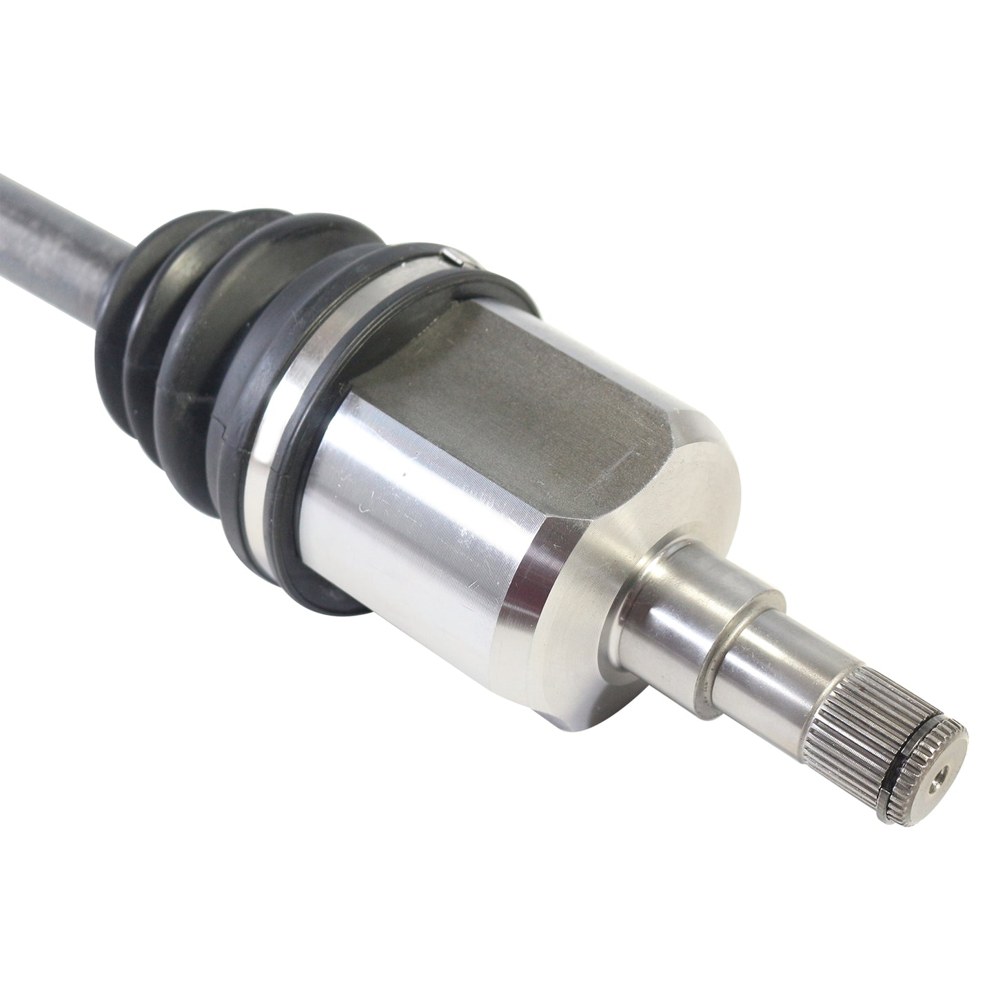 NCV10076_4.jpg