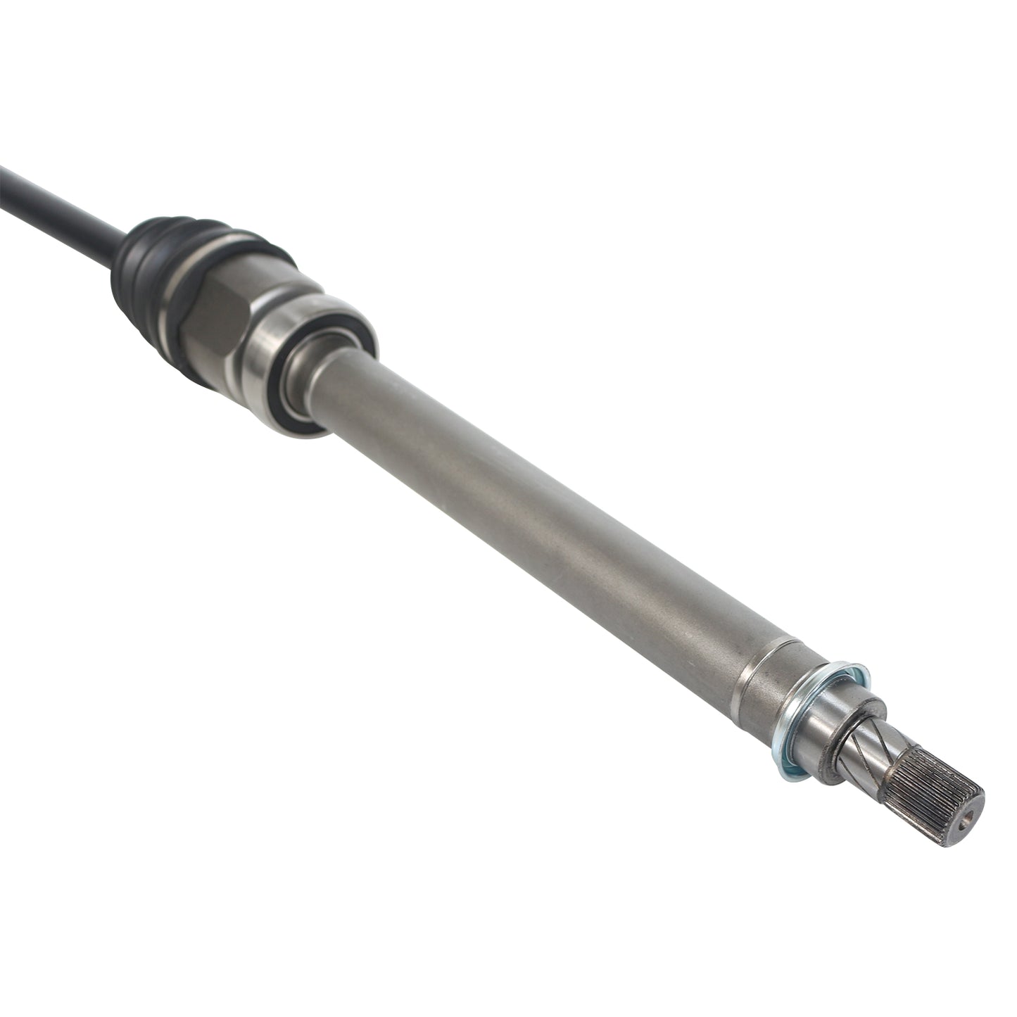 NCV11054_4.jpg
