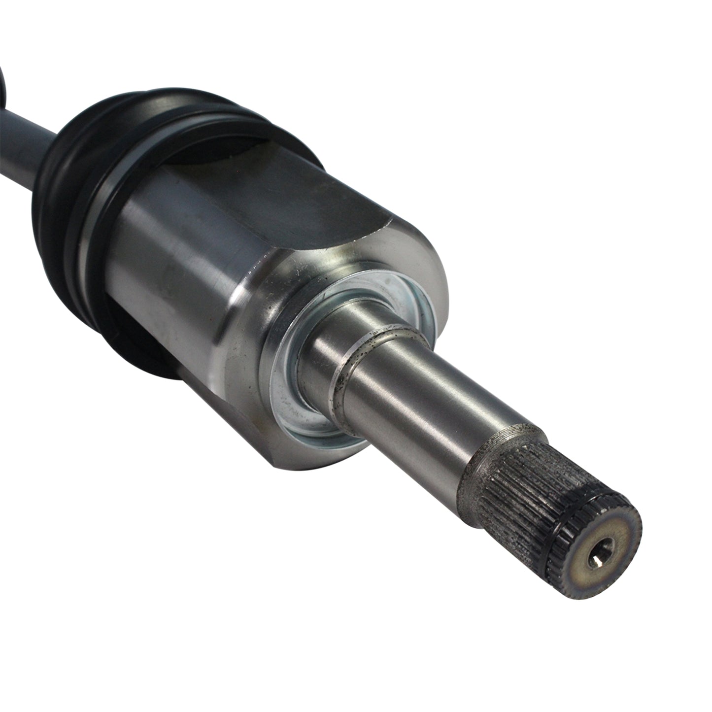 NCV11161_4.jpg