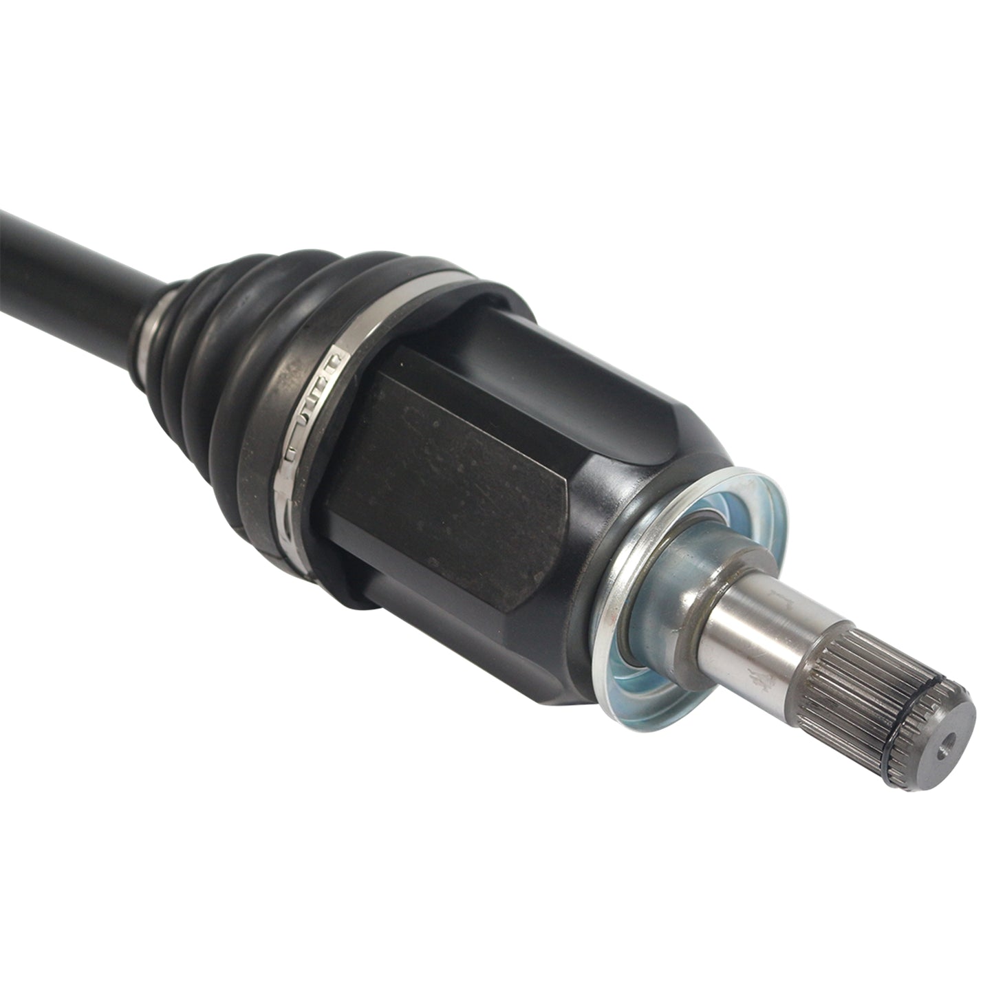 PR83035_4.jpg