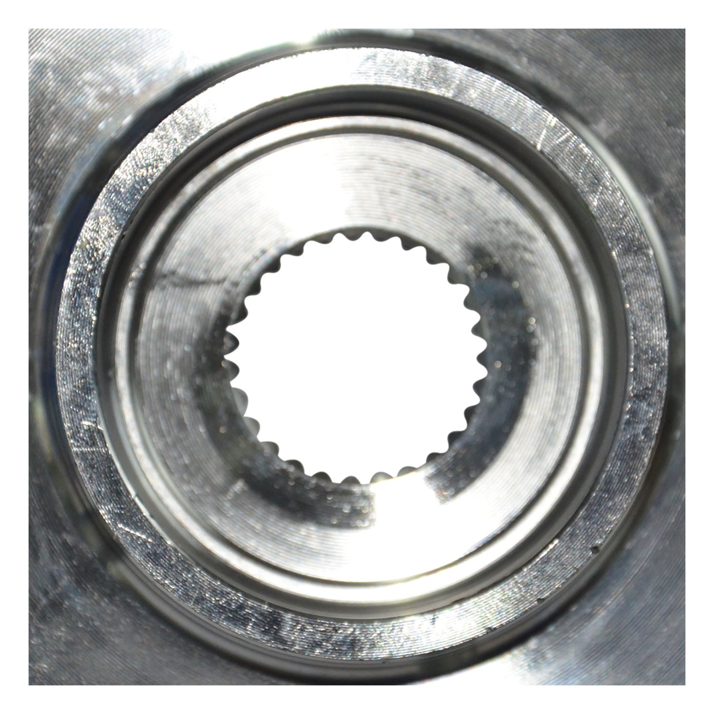 370006_4.jpg