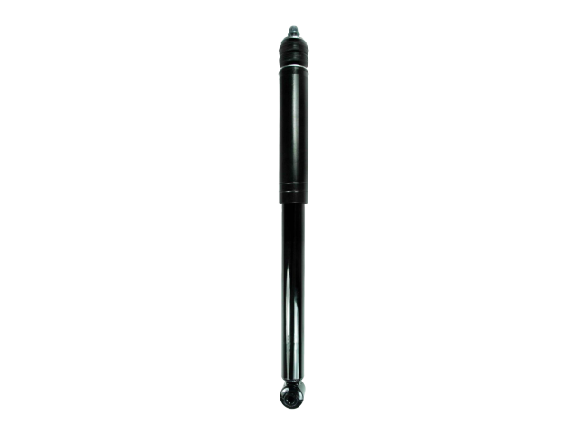 GS8163.jpg