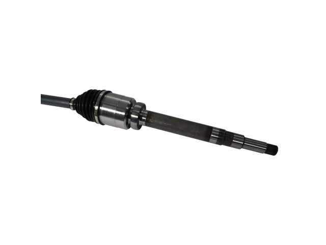 NCV11306_4.jpg