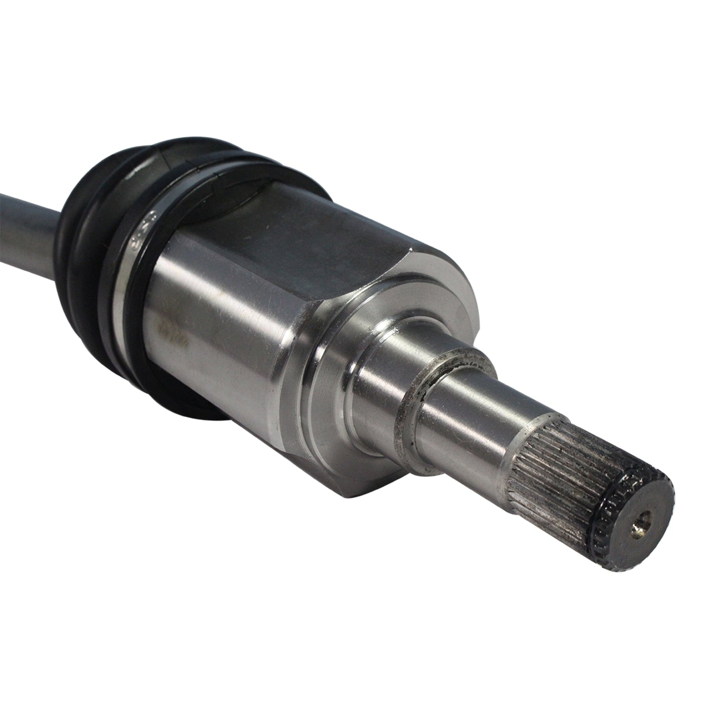NCV11186_4.jpg