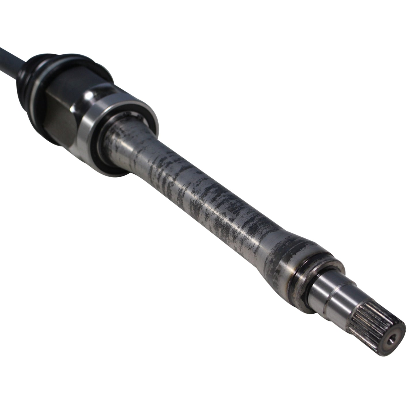 NCV49004_4.jpg