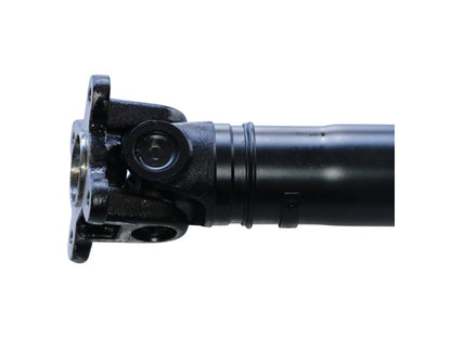 PS900268_3.jpg