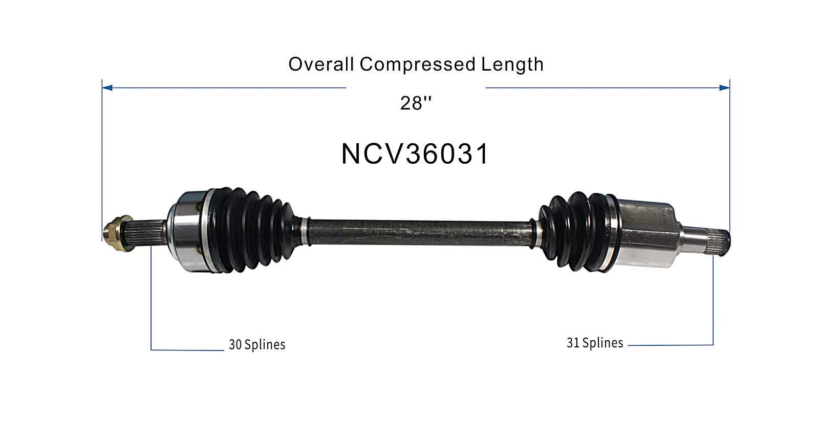 NCV36031_SPE.jpg