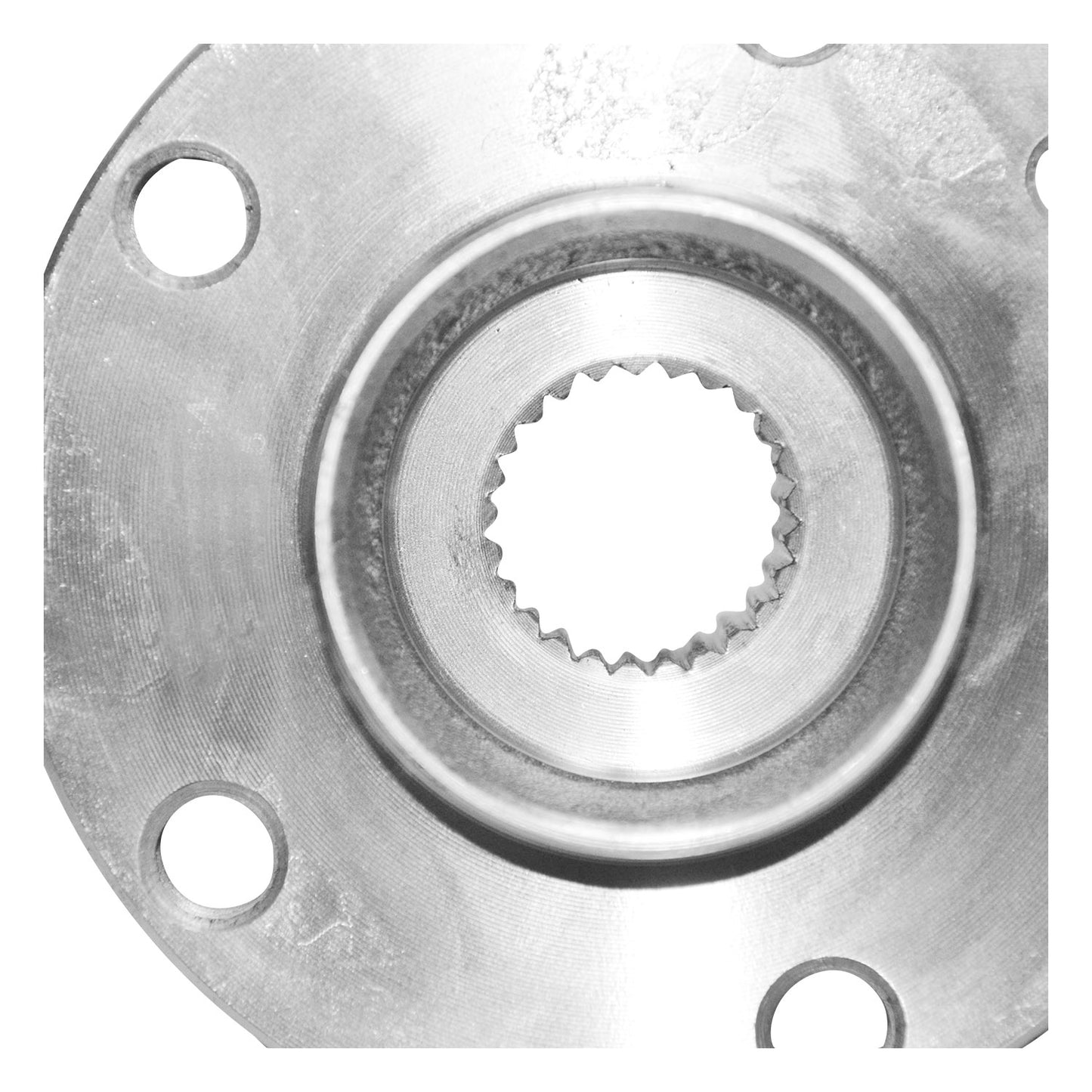 129004WH_3.jpg