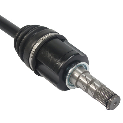 PR66002_4.jpg