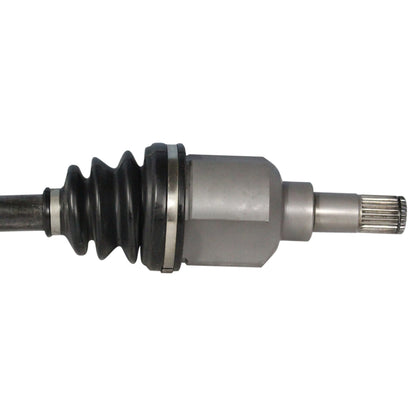 NCV11043_2.jpg