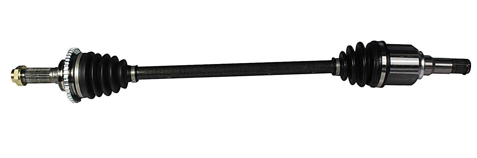 NCV11037.jpg