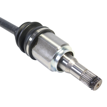 NCV11076_4.jpg