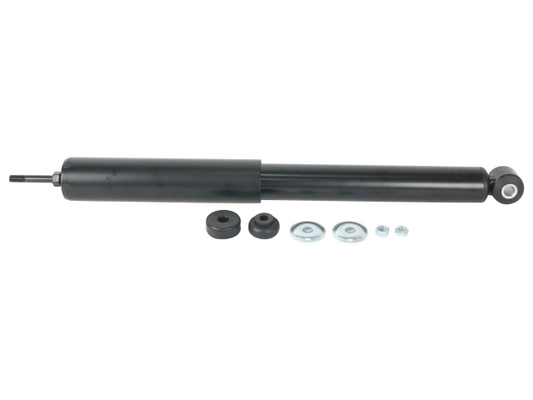 GS8095_1.jpg