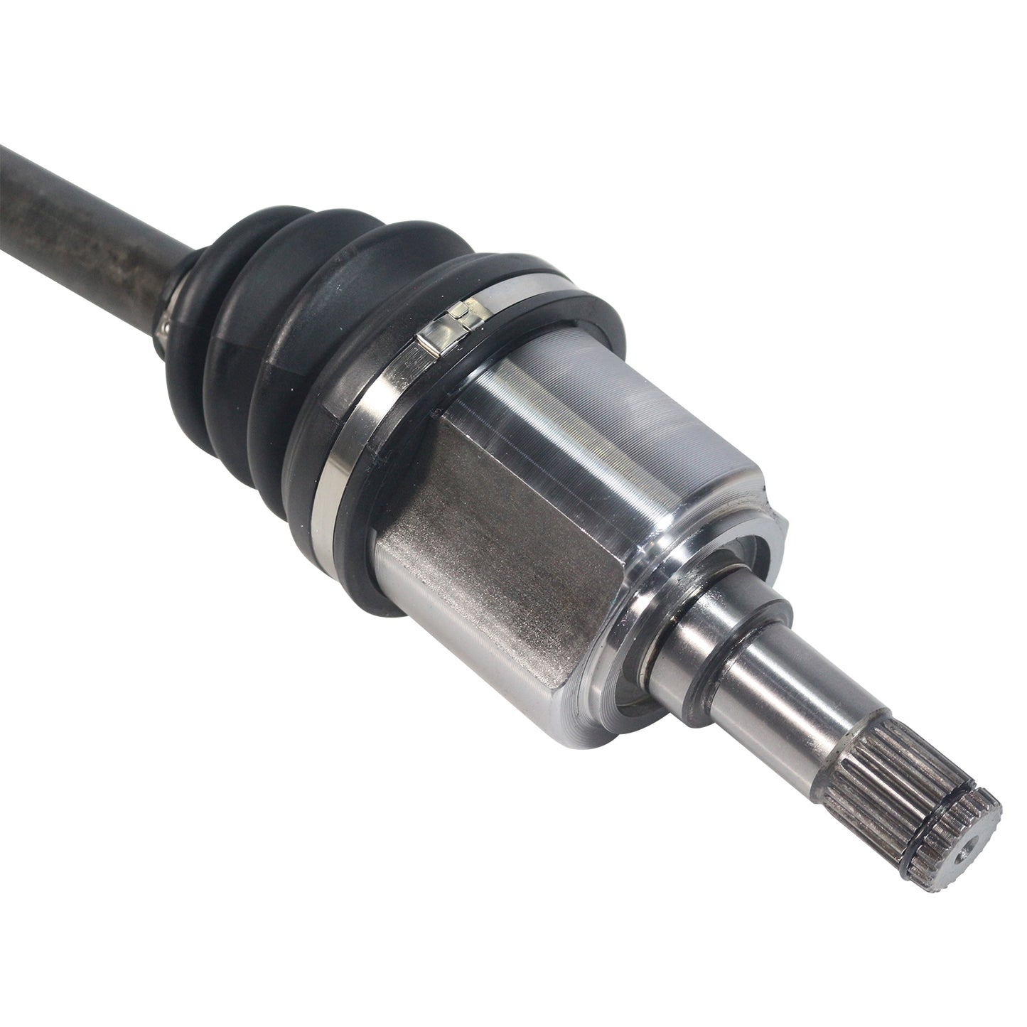 NCV11537_4.jpg