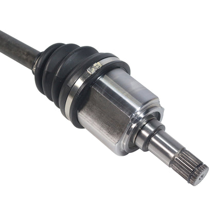 NCV11537_4.jpg