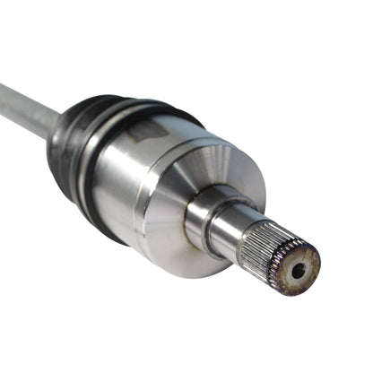 NCV40006_4.jpg