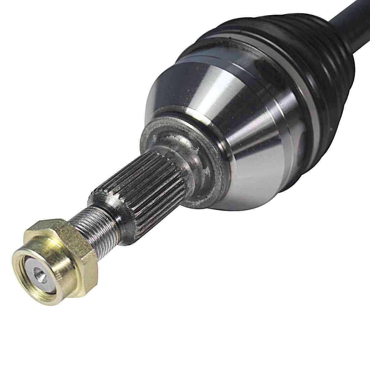 NCV10091-3.jpg