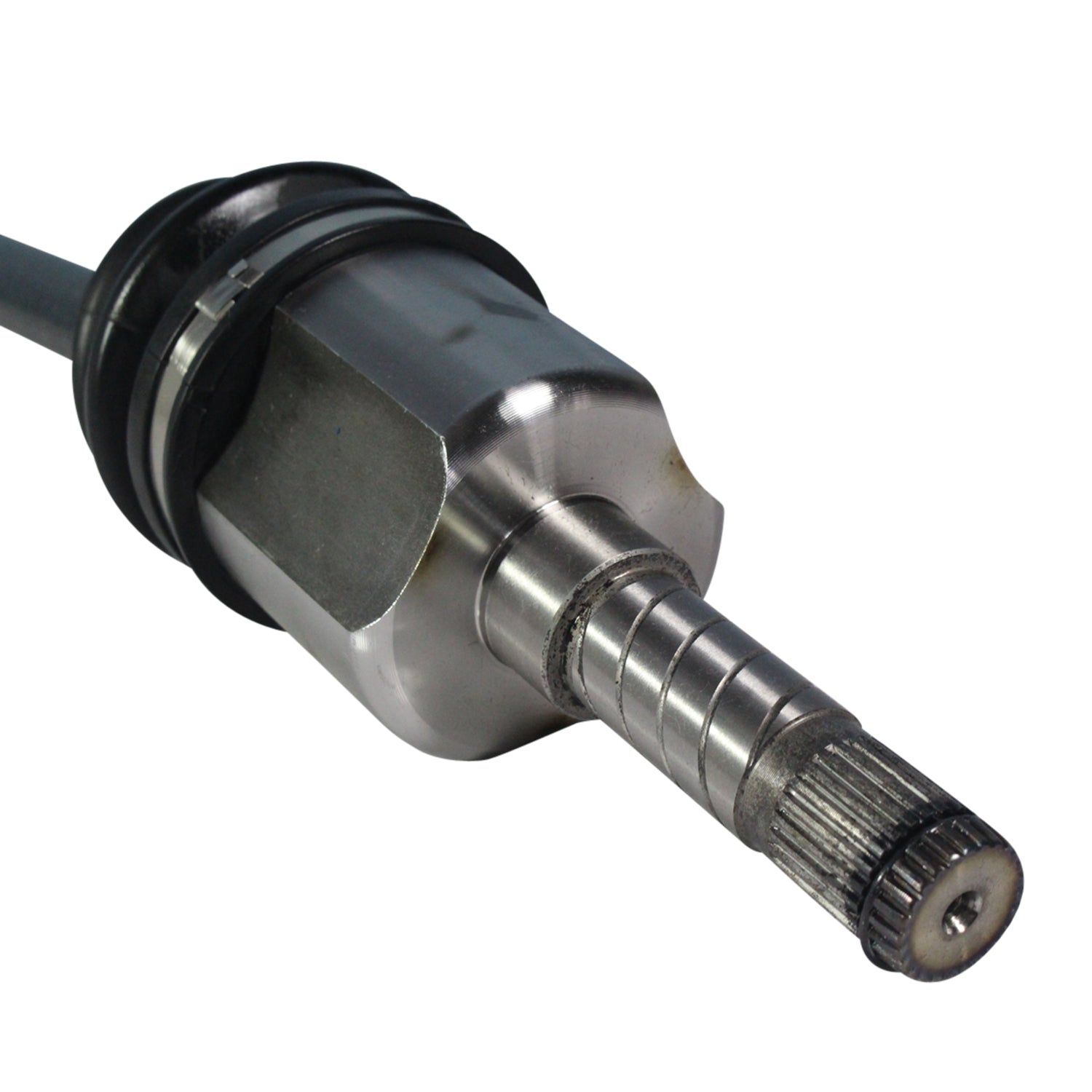 NCV11192_4.jpg