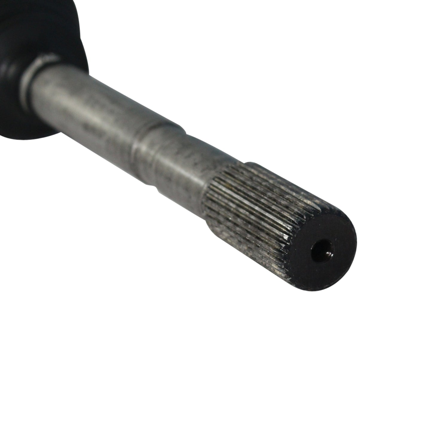 NCV11100_4.jpg
