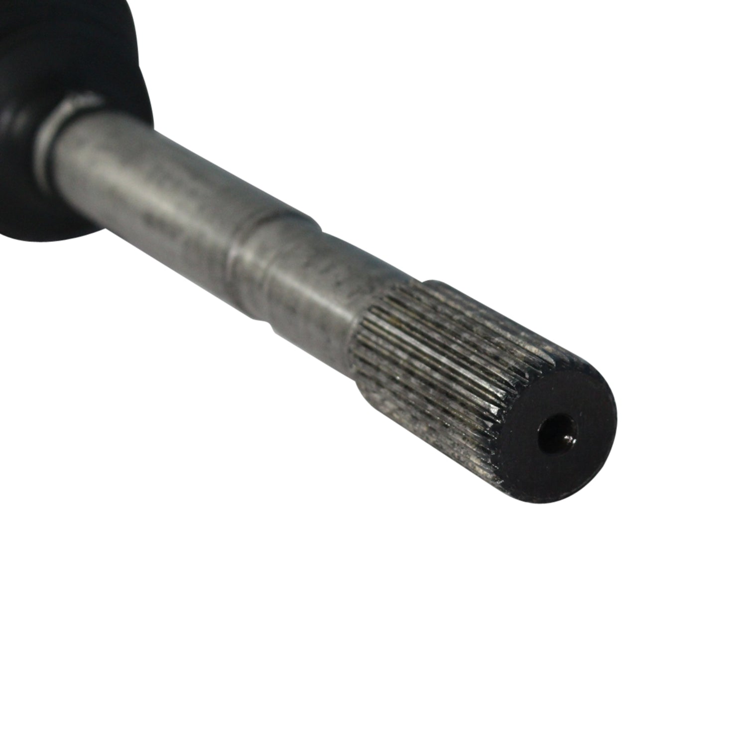 NCV11100_4.jpg