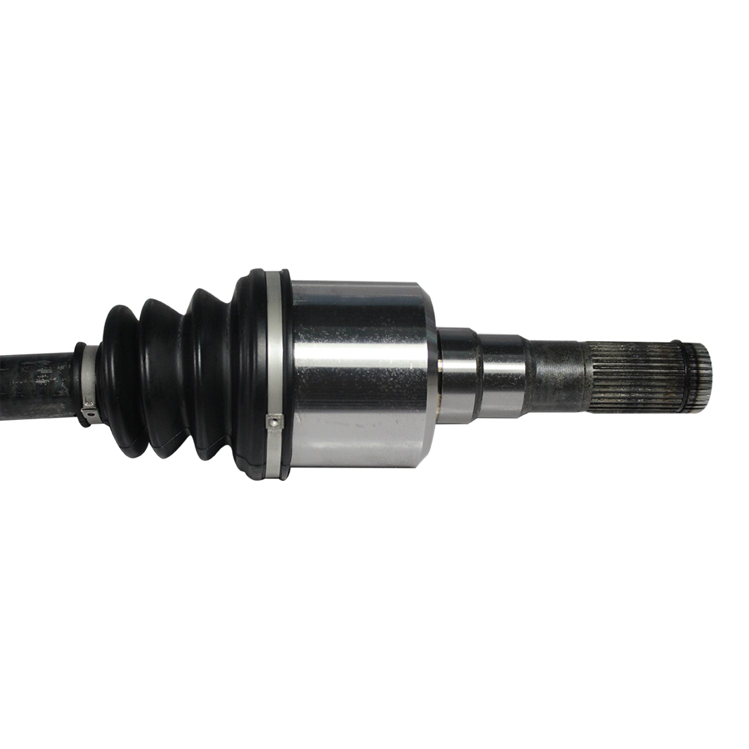 NCV11195_2.jpg