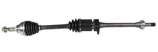 NCV11073.jpg