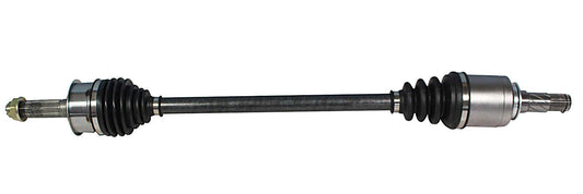 NCV66924.jpg