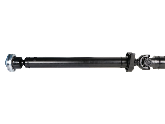 PS900513_1.jpg