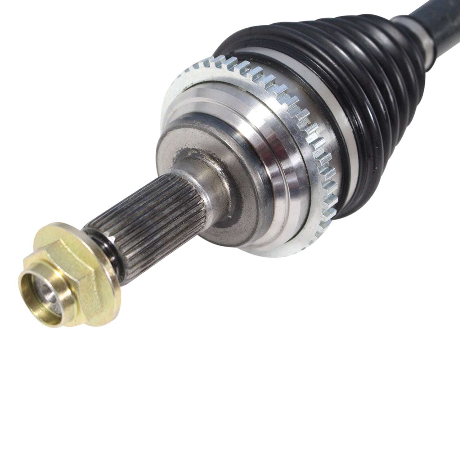 NCV11516_3.jpg
