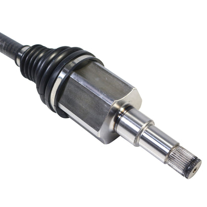 NCV11251_4.jpg