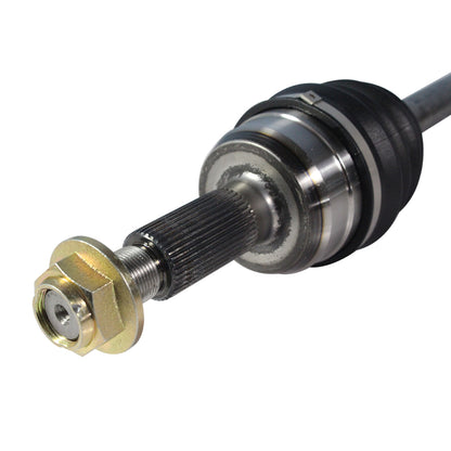 NCV11199_3.jpg