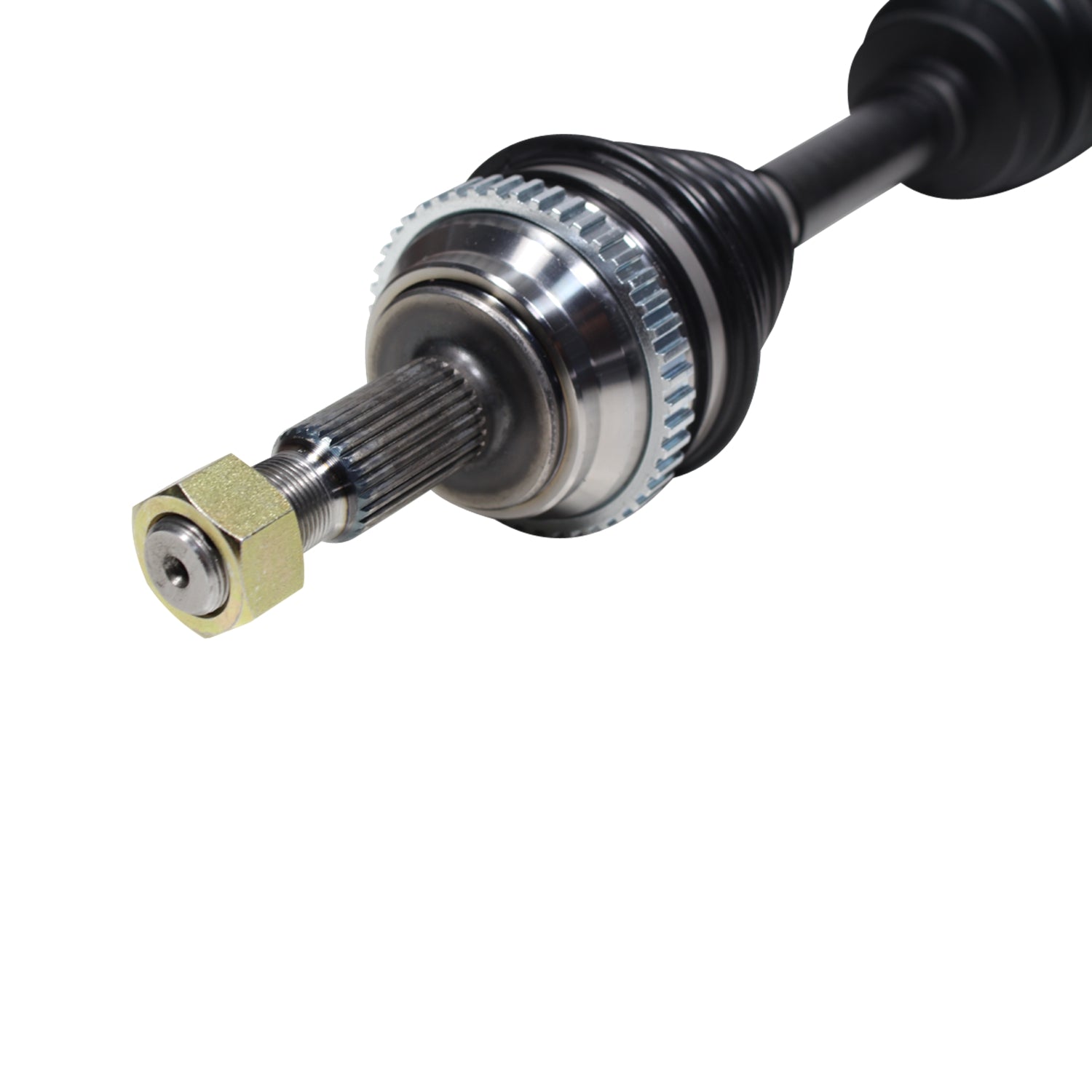 NCV12569_3.jpg