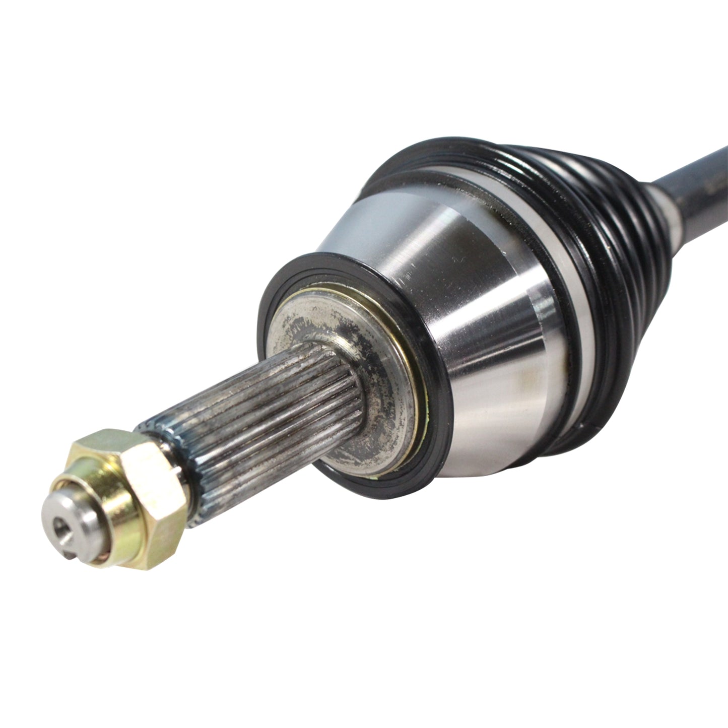 NCV11009_3.jpg