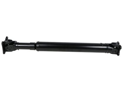 PS900582.jpg