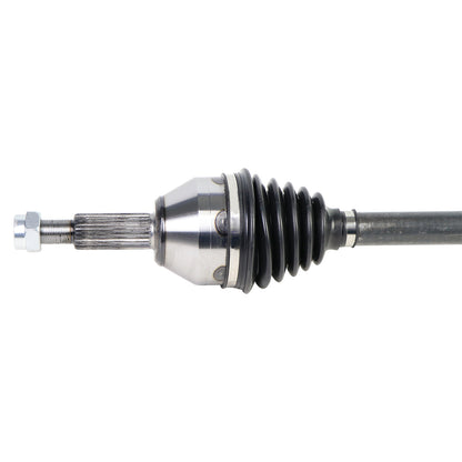 NCV11101_3.jpg