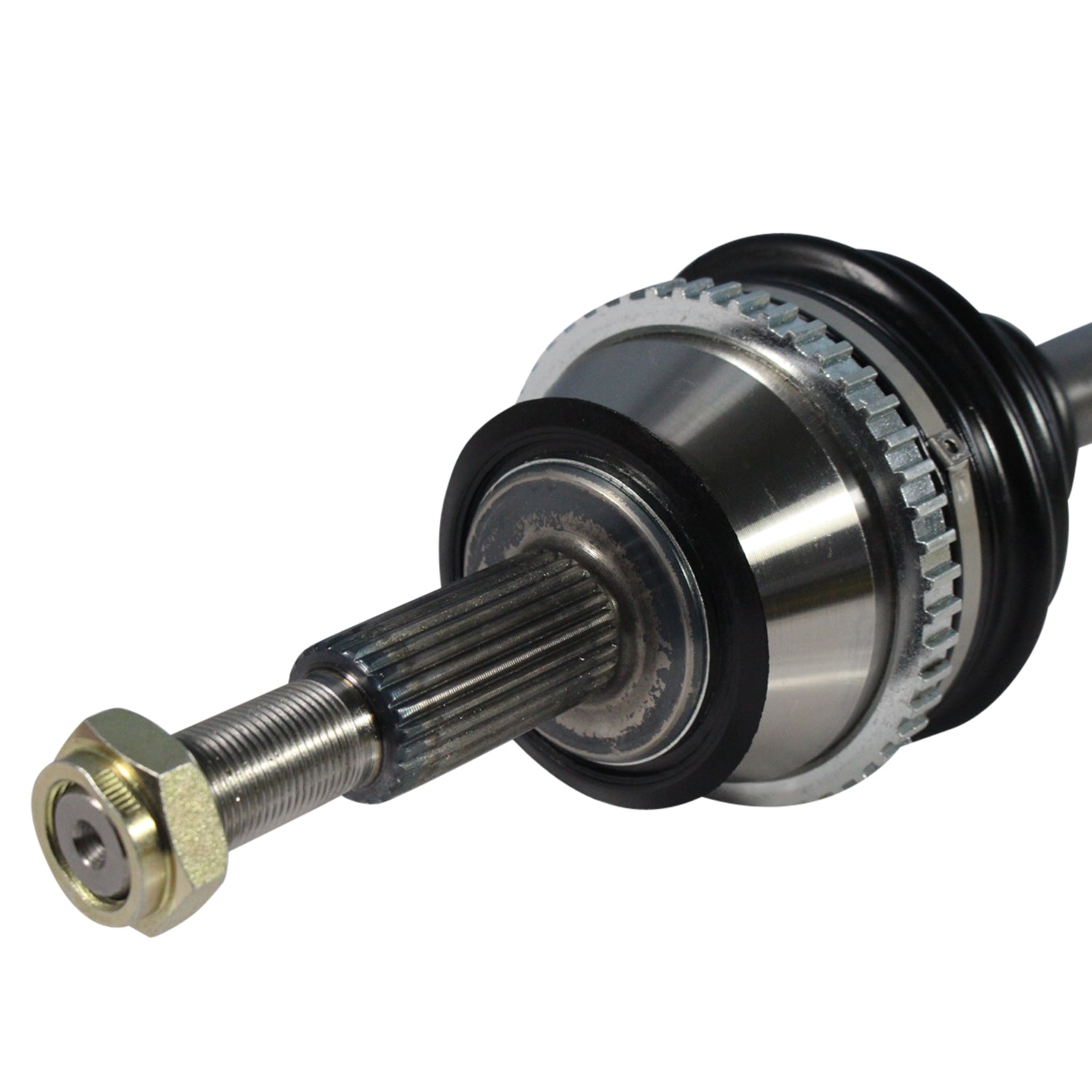 NCV11513_3.jpg