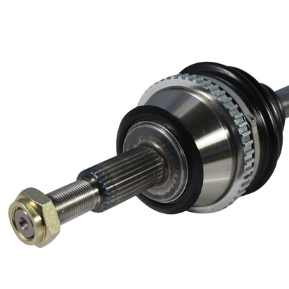 NCV11513_3.jpg