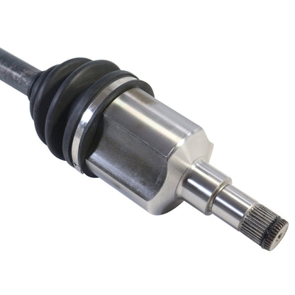 NCV10043_4.jpg