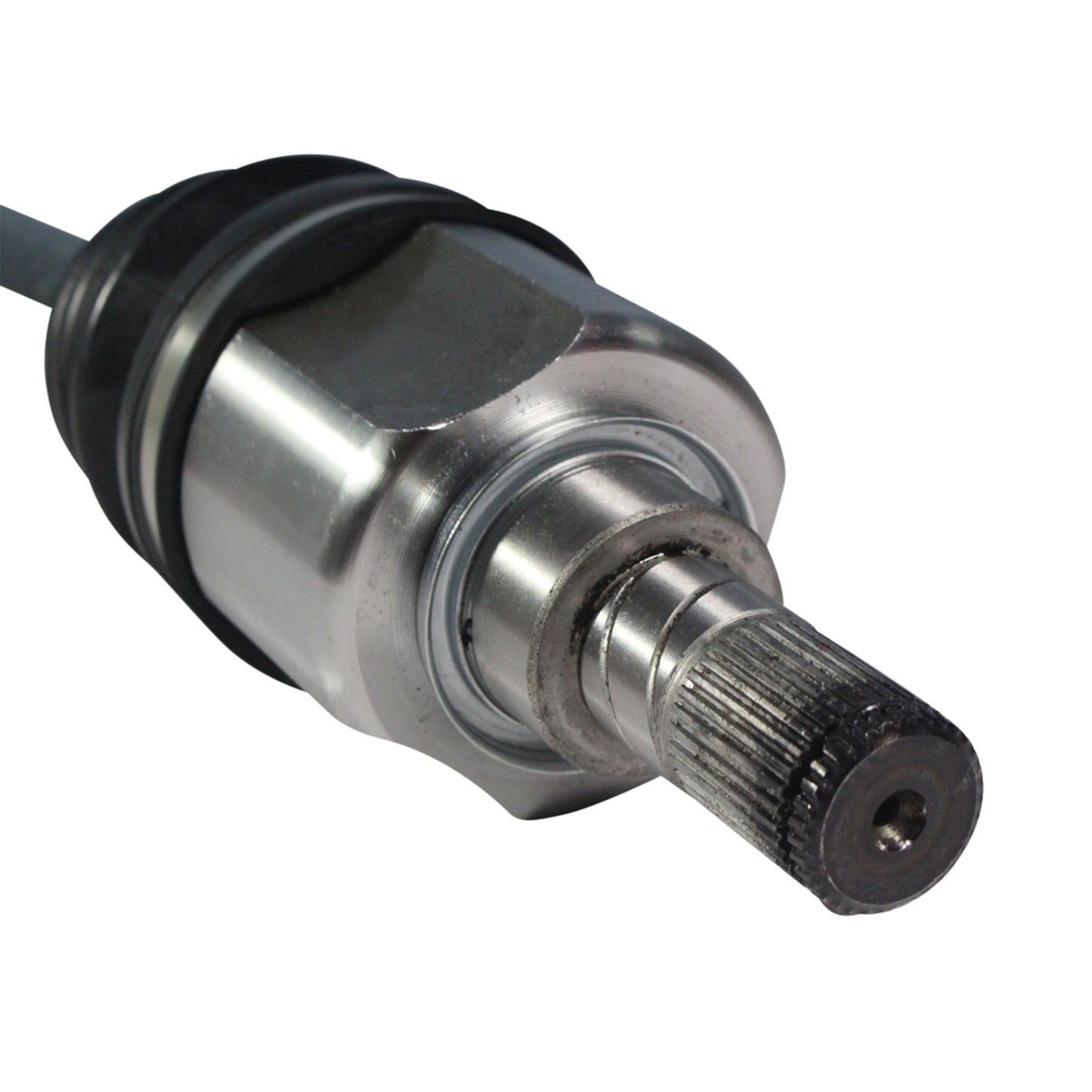 NCV11182_4.jpg