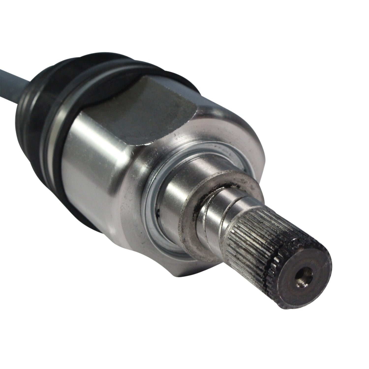 NCV11182_4.jpg