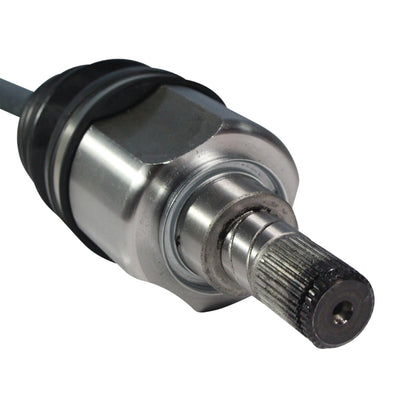 NCV11182_4.jpg