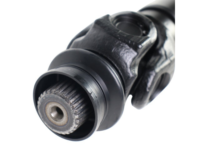 PS900161_2.jpg