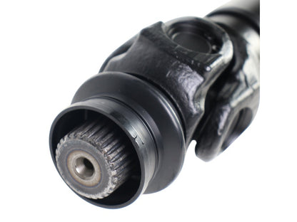 PS900161_2.jpg