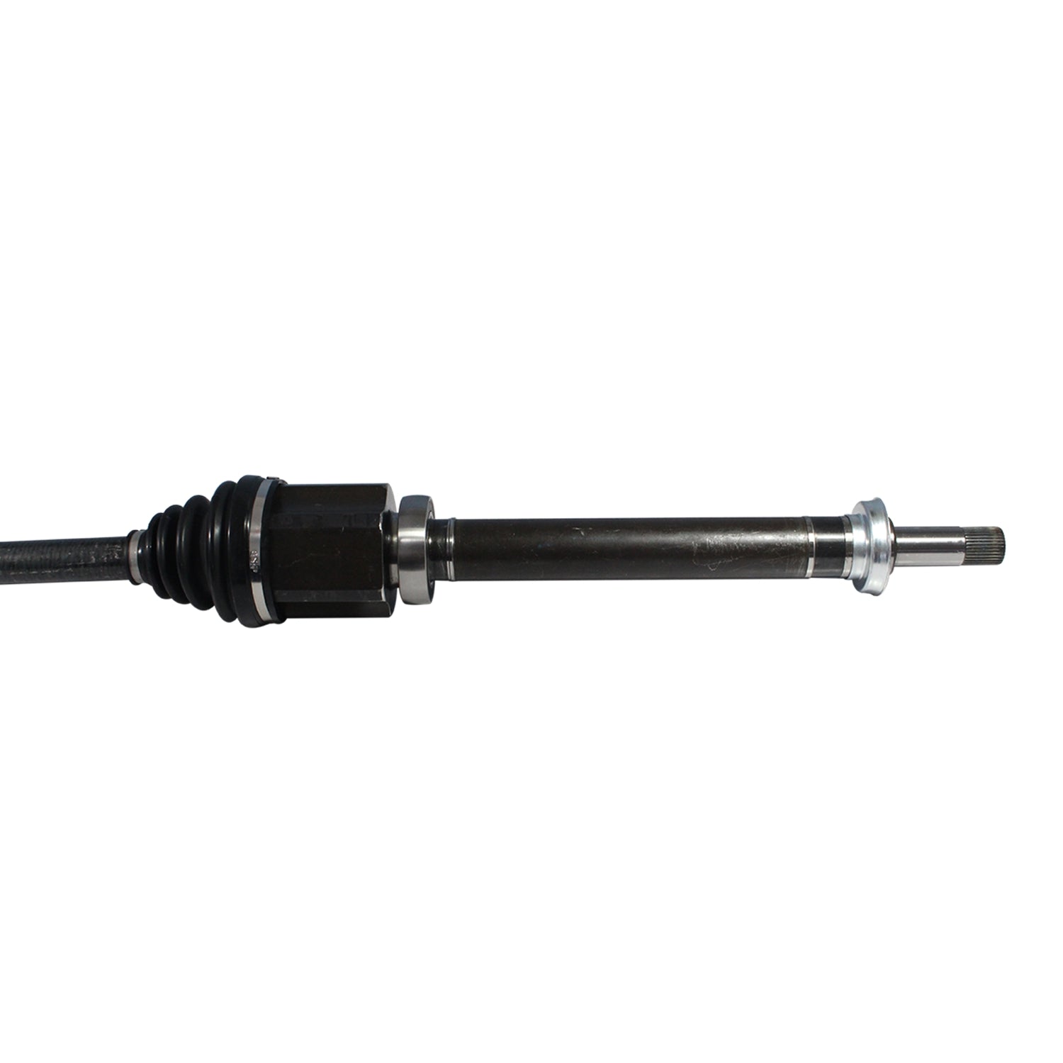 NCV11189_2.jpg