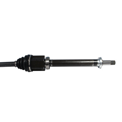 NCV11189_2.jpg