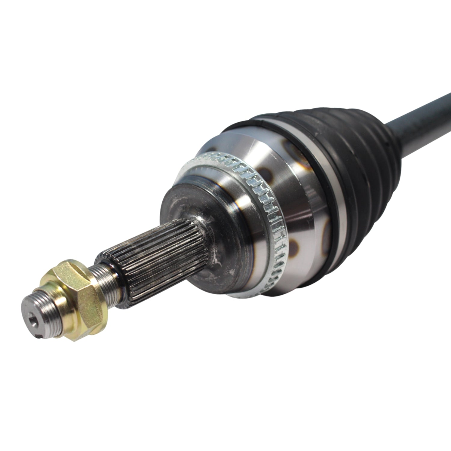 NCV69166_3.jpg