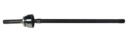 NCV83031.jpg